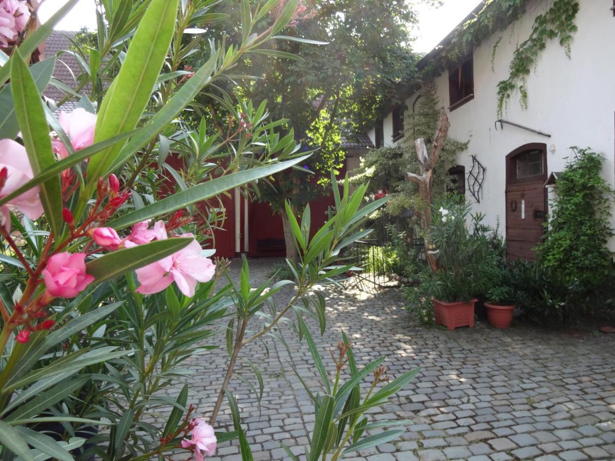 Pension Deerkemer Kuh Dorn-Durkheim 外观 照片